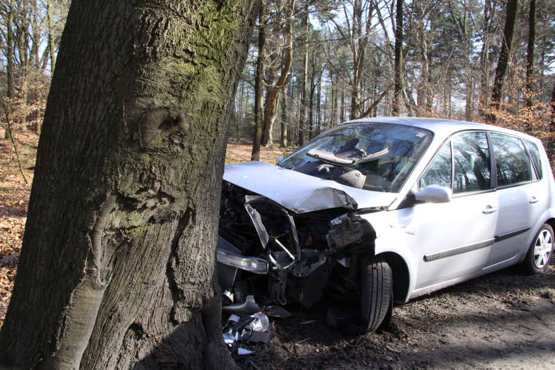Auto tegen boom, bestuurder gewond