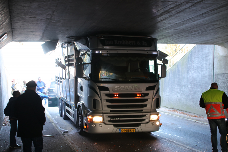 Vrachtwagen vol jonge varkens vastgereden onder viaduct